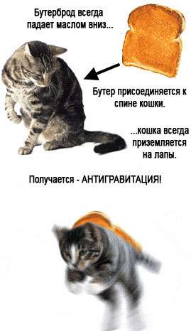 1139686651_anub_ru_kiskas