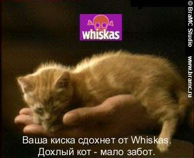 Wiskas